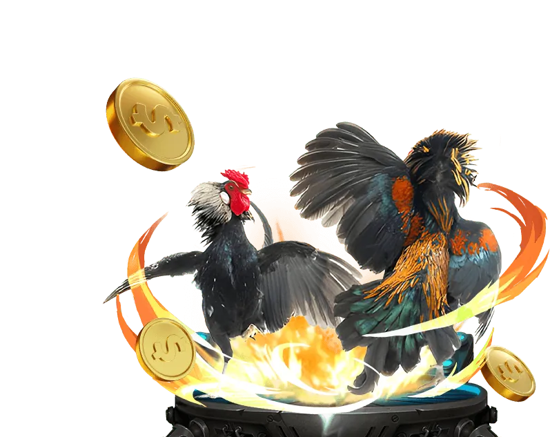 Phân tích kèo đá gà